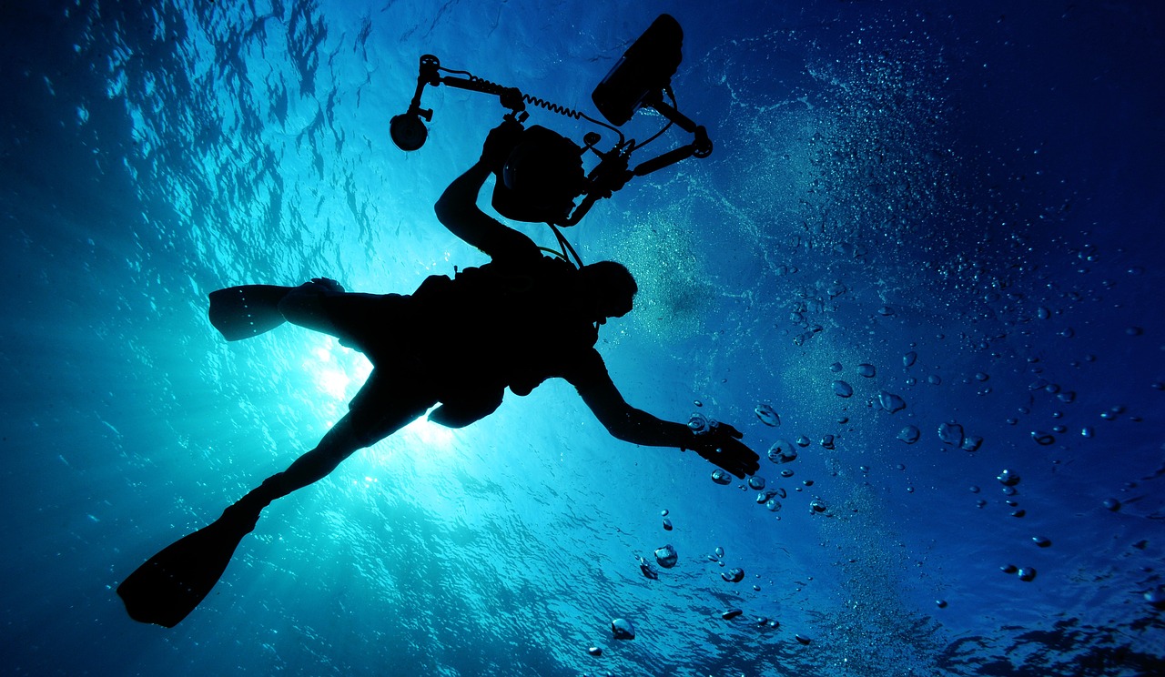 Diving with Sharks!?